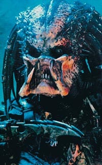 Predator, kalojen kauhu!