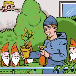 Cityn terassiopas suosittelee: vältä käsittelemättömiä saviruukkuja.