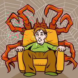 You are not alone! Foobikko projisoi pelkoon turvattomuudentunnettaan. Fobiat saattaavat usein pahentua elämän stressitilanteissa.