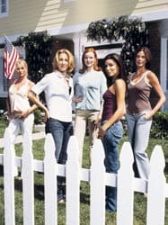 Wisteria Lanen kotiäidit eivät kulje verkkareissa, eivätkä lämmitä mikropitsaa: “Miksei meillä ole koskaan ruokaa, aina vain cuisinea?”, kysyy Breen poika.