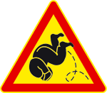 Näin tehdään parkour -kuperkeikka.