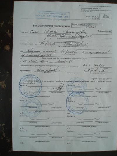 Aleksein työmatkapapru