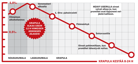 Krapula alkaa usein 12 tuntia viimeisen alkoholiannoksen jälkeen.