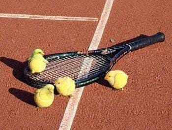 Tenniksessäkin on monta ihmeellistä asiaa...