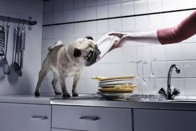 Toi ois hyvä tiskikone..