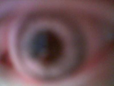 Lähemmäksi linssiä en päässyt..