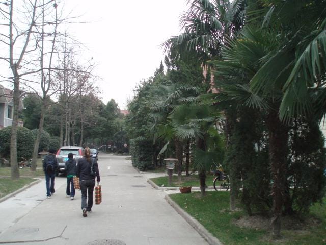 Kotikuja Shanghaissa