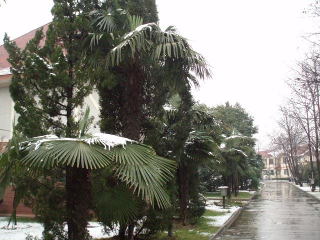 Lumiset olot Shanghaissa