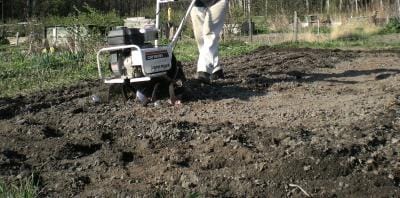 Jyrsin kävi tontilla