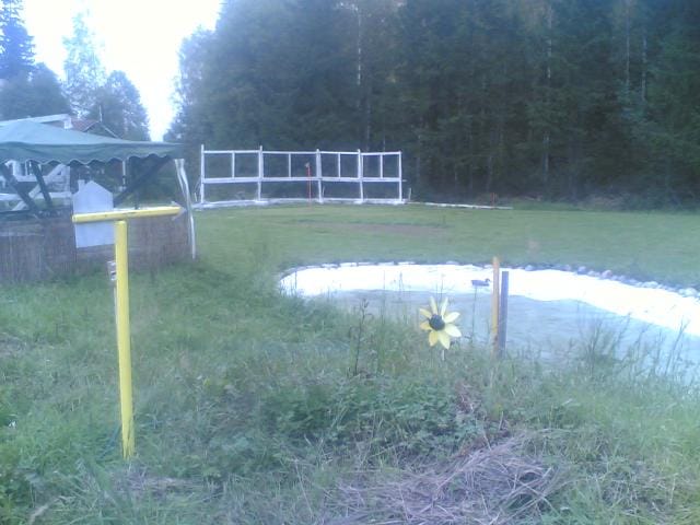 holari today