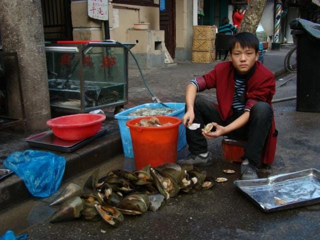 Tuoreita simpukoita suoraan katuojasta