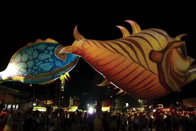 Perle-kalat pääsevät taivaaseen.