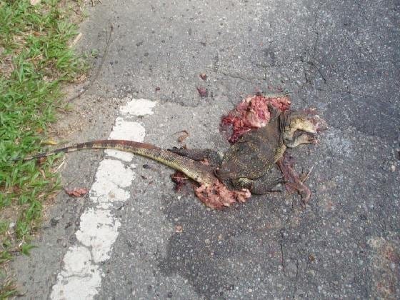 The One Who Fucked With Wrong People