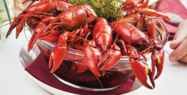 Rapujuhlat ravintolassa.