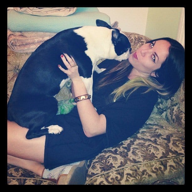 Clare herron ja mopsi