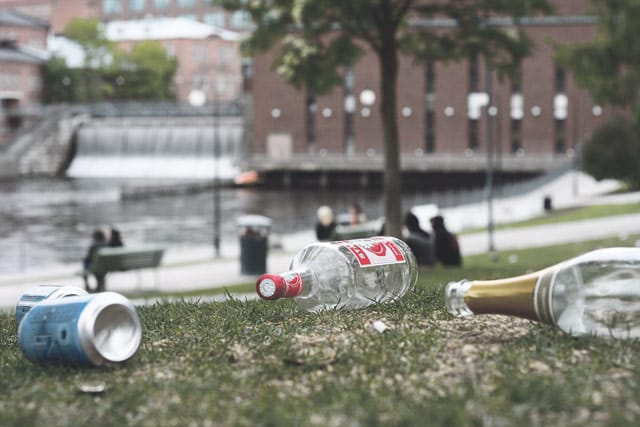 Konkreettisen saasteen lisäksi Koskipuistosta halutaan siivota myös eläviä roskia.
