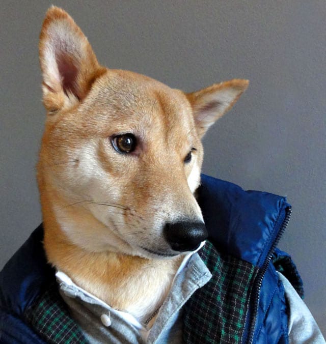 Kerrokset pitävät lämpimänä, neuvoo Menswear Dog.