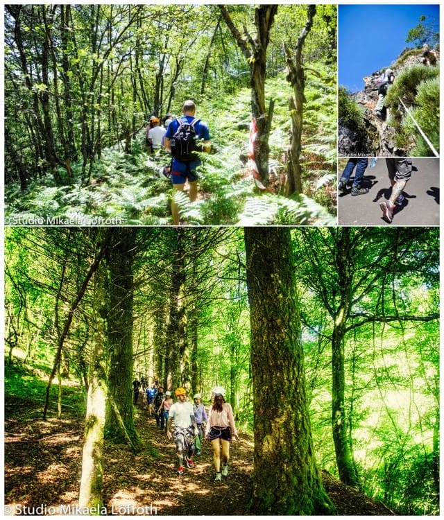 Halki metsän, kohti tuntematonta.