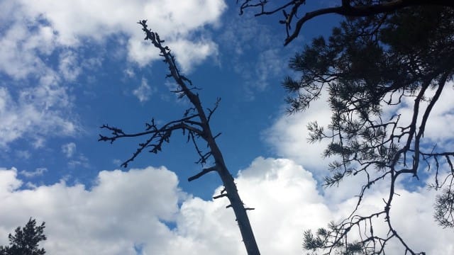 Katso taivasta. Katso kuinka pilvet liikkuvat. Tunne ilman liike ihollasi.