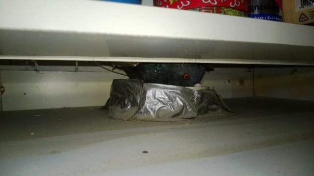 Katolta ilmastointikanavan kautta liesituulettimeen päätynyt pulu 9/2013