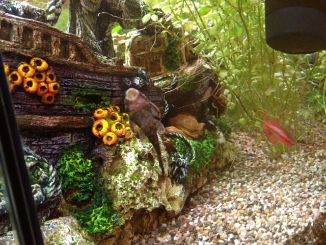 Välillä olen itseni kanssa hukassa, kuin kala kuivalla maalla.