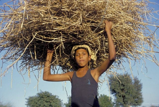 Kanna vain niin iso taakka kuin jaksat. Jos kompastut, niin taakka ei saa olla niin raskas, että kuolet sen alle. Kuva World Bank Image Collection (CC BY-NC-ND 2.0)