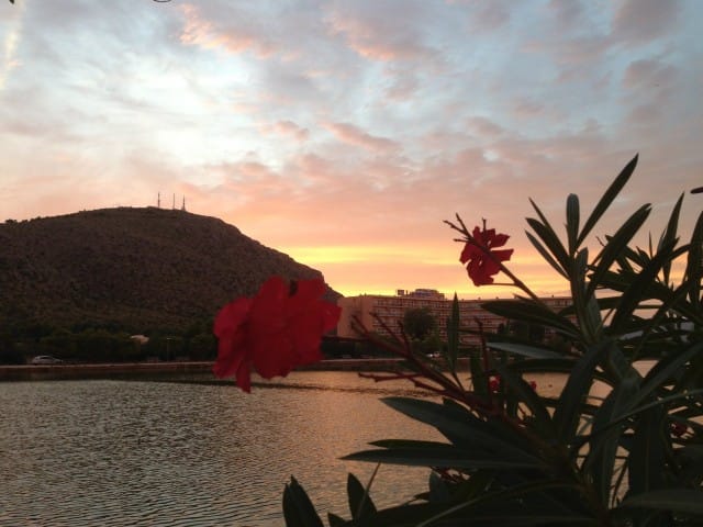 Alcudia, Mallorca. Syyskuu 2013.
