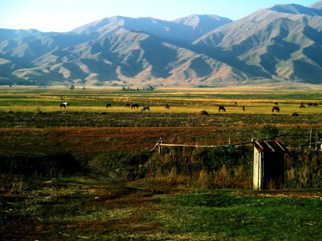 Maisema herra Liran asunnon edestä.