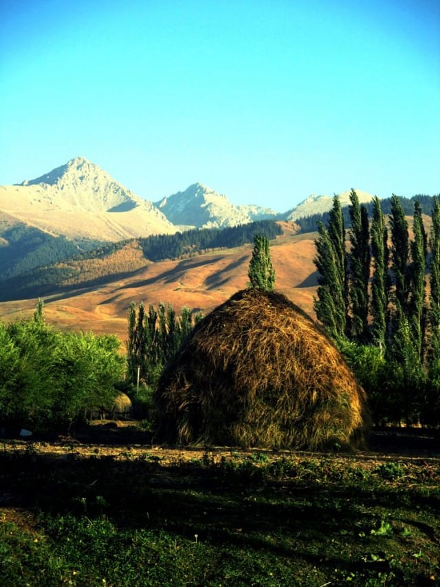 Vuokrataan hyvä asuinmaja, 60 som/kuukausi!