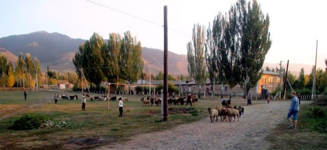 Löytyi kylästä jopa futiskenttäkin, jota tosin käytettiin johonkin aivan muuhun.