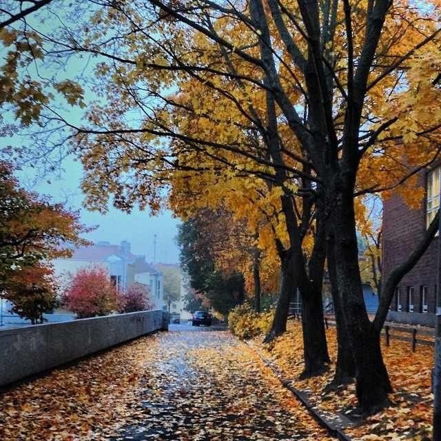 Kuva: Thomas Nybergh (http://instagram.com/p/fNlgzuLlVu/)