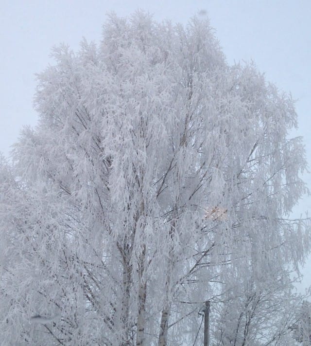 "Maailma on kaunis ja hyvä elää sille, jolla on aikaa ja tilaa unelmille ja mielen vapaus ja mielen vapaus."