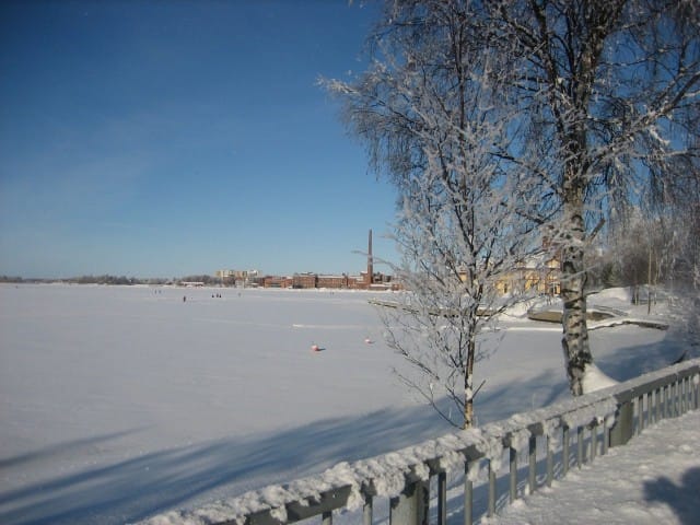 Vaasan Yliopisto