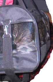 Nyt tajuan Sini Saarelaa