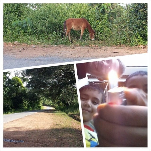 Paikalliset pojat halusivat esitellä stendariaan. Teiden varsilla on kaikenlaisia eläimiä: aaseja, vesipuhveleita, ankkoja, hanhia, koira, kameli?, kissoja