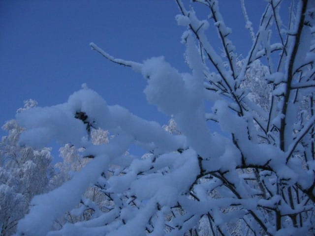 Valkoinen Suomi