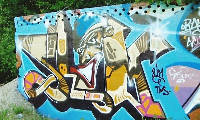 Slim, 2006, Viikki.