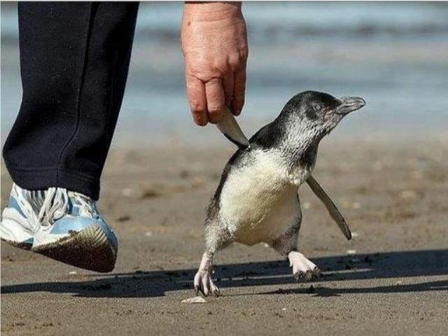 Thank you for all the protection and guidance.