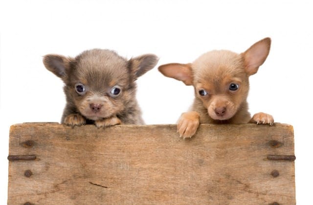 "Oltaisko aina yhdessä?"