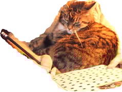 mietintämyssy päällä - se yks kirj ...