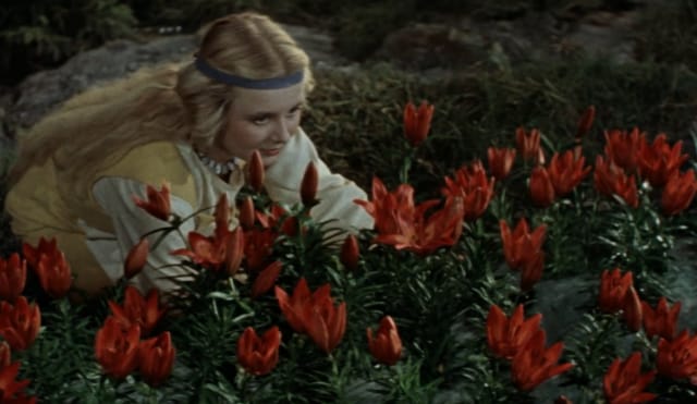 Suomalaisuutta pohtiva True Finn on tämän vuoden IHME-teos.