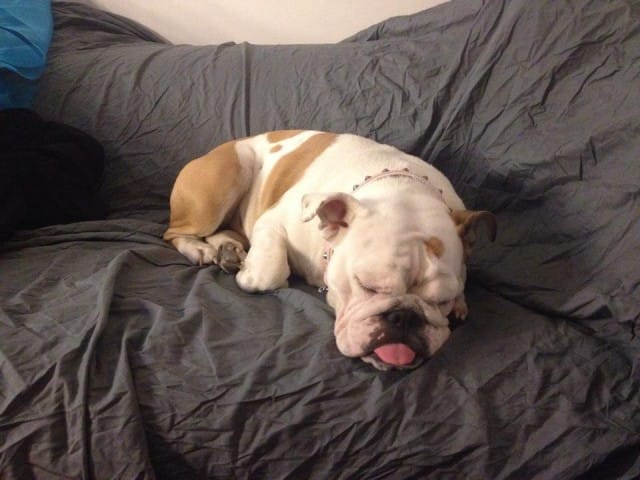 Timo Otamo otti assaristakin "MakingOff"- kuvan