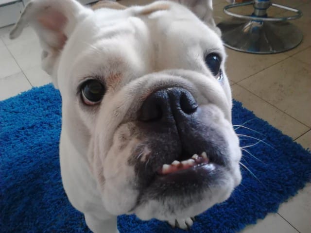 "Mikä tää hei on ?"