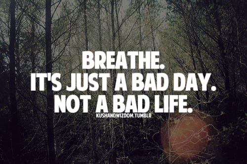 Uusi motto kaikille kyrpeliineille.