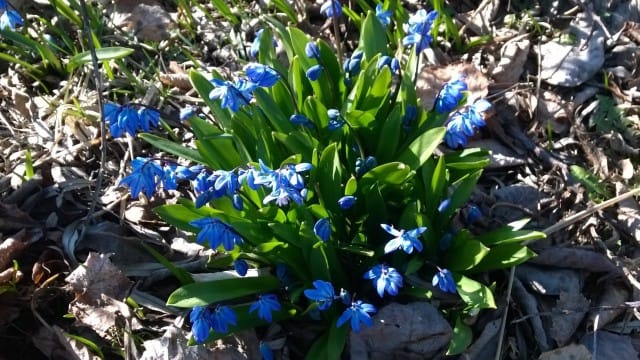 Uuden syntyessä, vanha nöyrästi väistyy sivummalle.