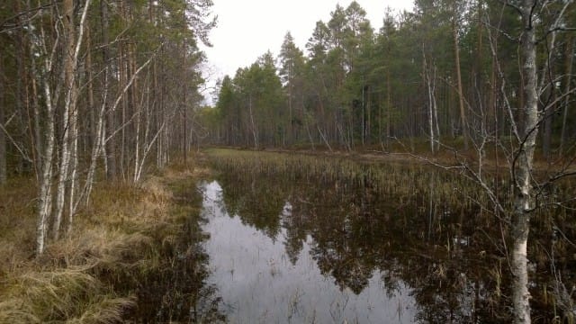 Rakkaus, tuo eheyttävä voima.