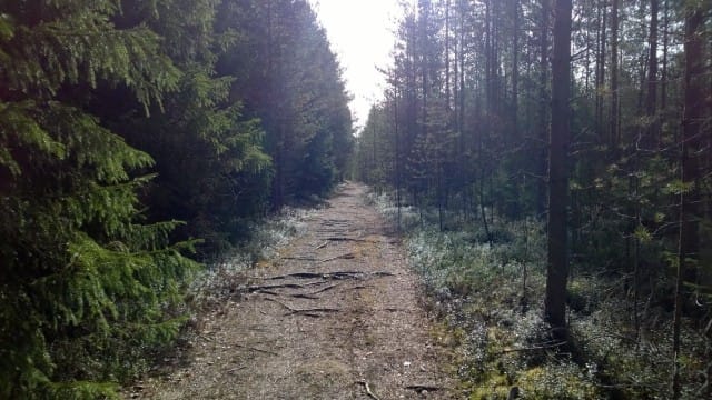 Sisäisen elämän seesteisyyttä etsimässä