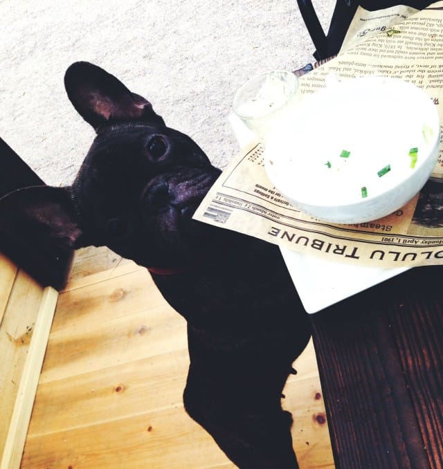 Kai saan nuolla kipon puhtaaksi?