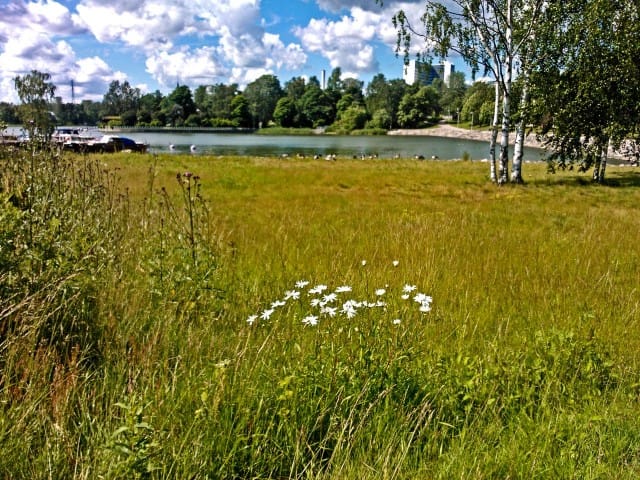 Suunnitelmat voivat heilua ja huojua kuin heinät tuulessa.