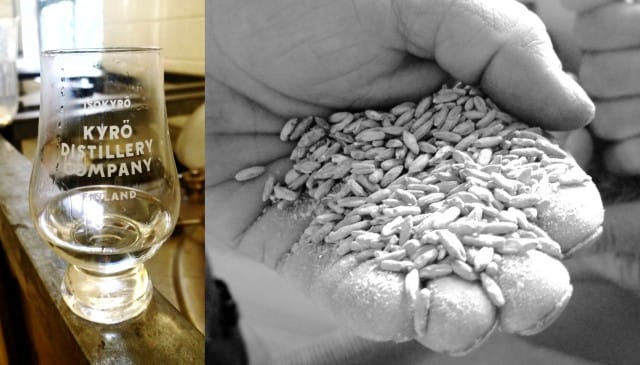 Kyrö Distilleryn ruisviski on 100% ruista - maailman mittakaavassa moinen on melko harvinaista.